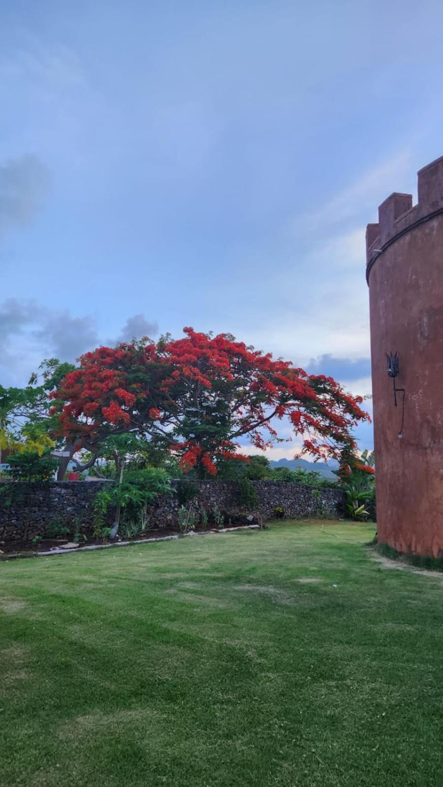 El Castillo Las Galeras Kültér fotó